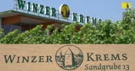 SALON-Sieger 2015: Winzer Krems